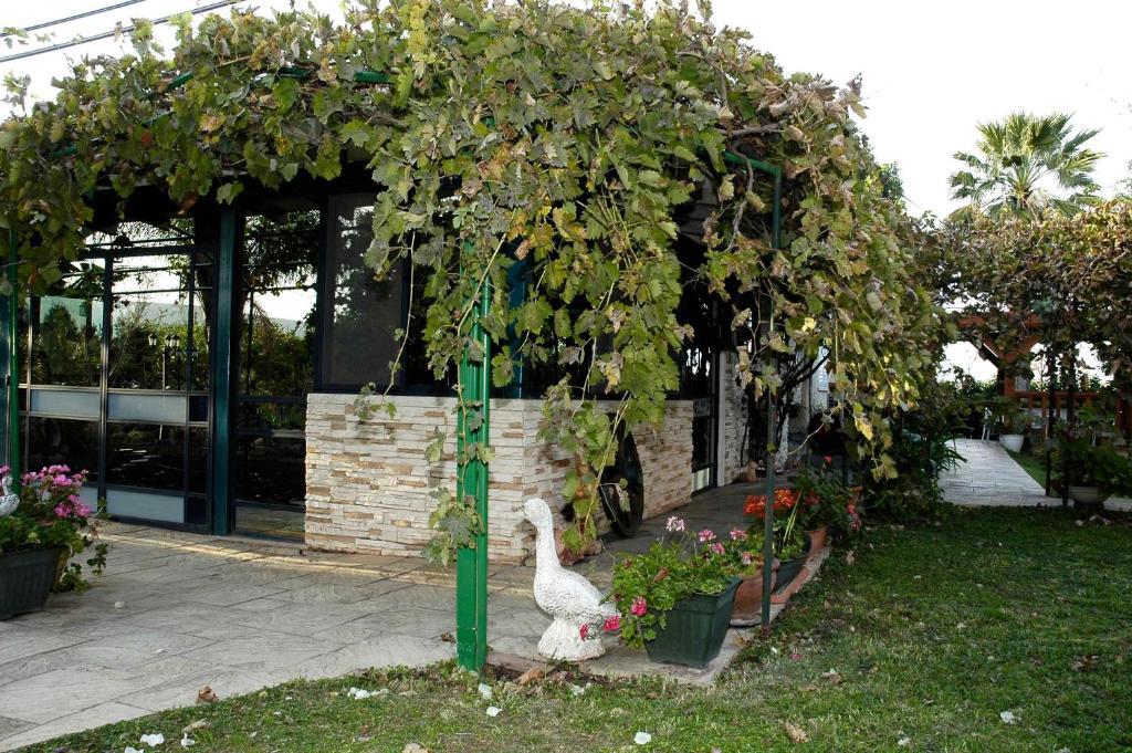 Arbel Guest House Shavit Family Exteriör bild